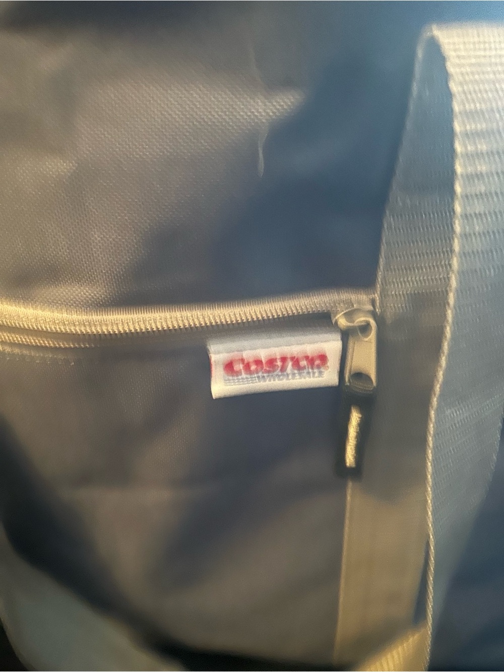 Gray Large Insulated Storage Tote Bag - Picture 2 of 3